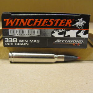 338 Win Mag Ammo