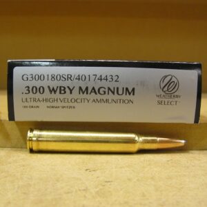 300 WBY Magnum