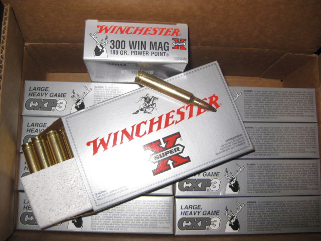 300 Win Mag Ammo