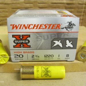 20 Gauge Ammo