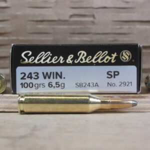 243 Win Ammo
