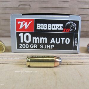 10mm Auto Ammo