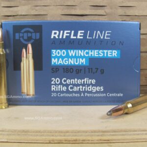 300 Win Mag Ammo