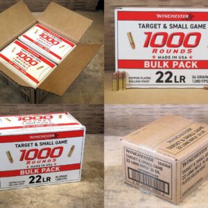 2000 Round Case - 22 LR 36 Grain Copper Plated Hollow Point Winchester Target and Small Game Ammo - 22LR1KHP
